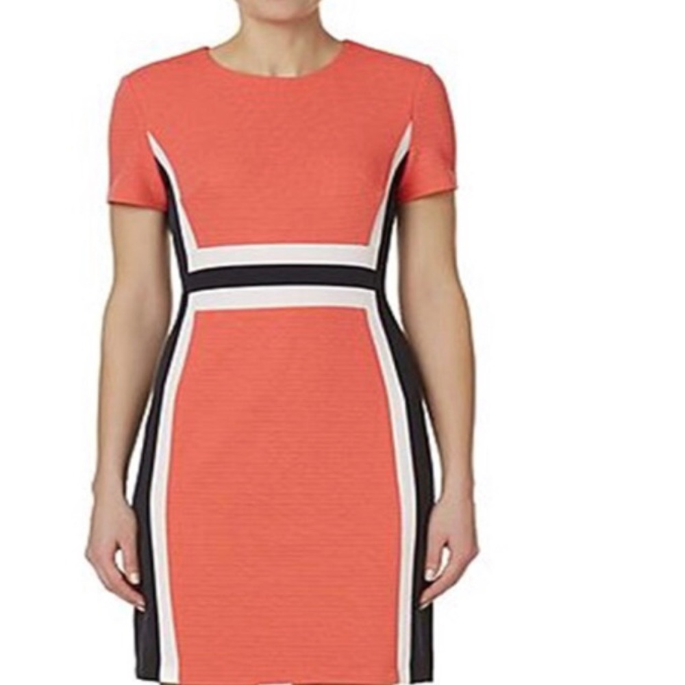 Sandra Darren Color-block Dress
